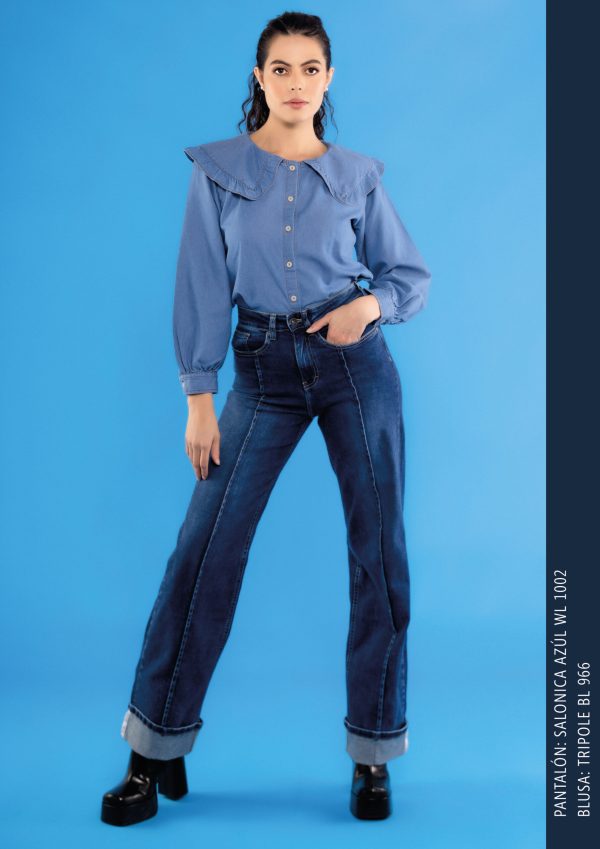 Camisa de Denim Tripole