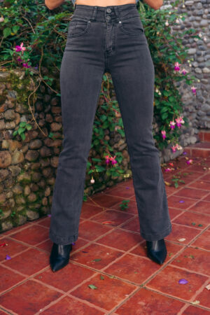 Flare Gris 2 Botones