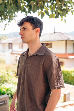 Camiseta polo café