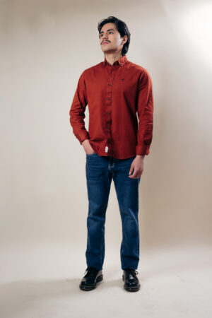 Camisa Clásica Marrón