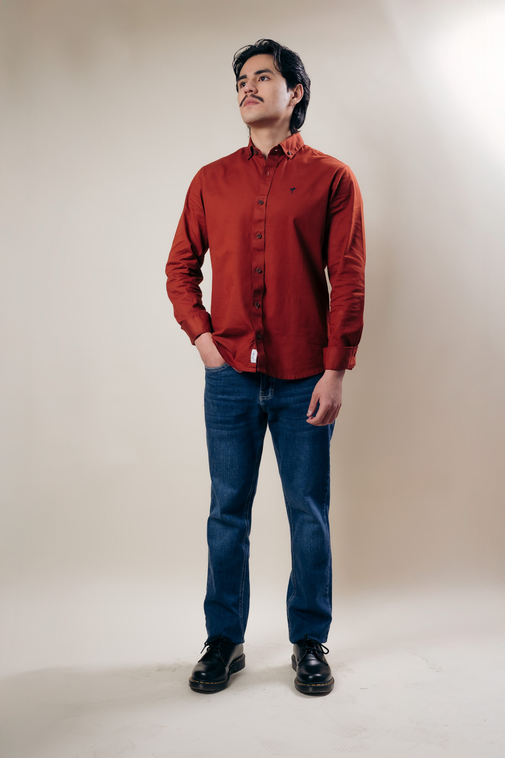 Camisa Clásica Marrón